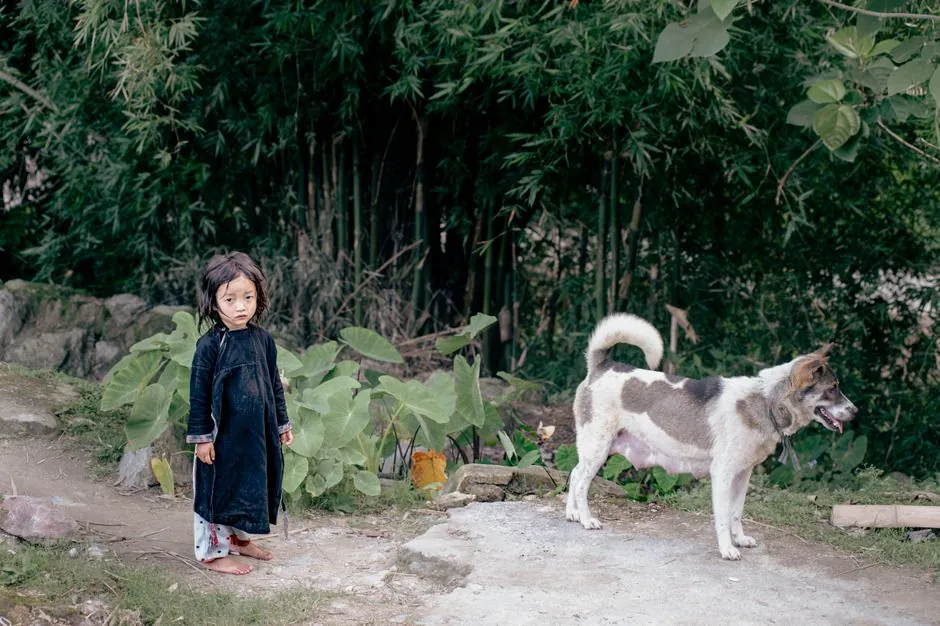 A young child and dog stand amidst lush greenery in a rural Hà Giang village, Vietnam.