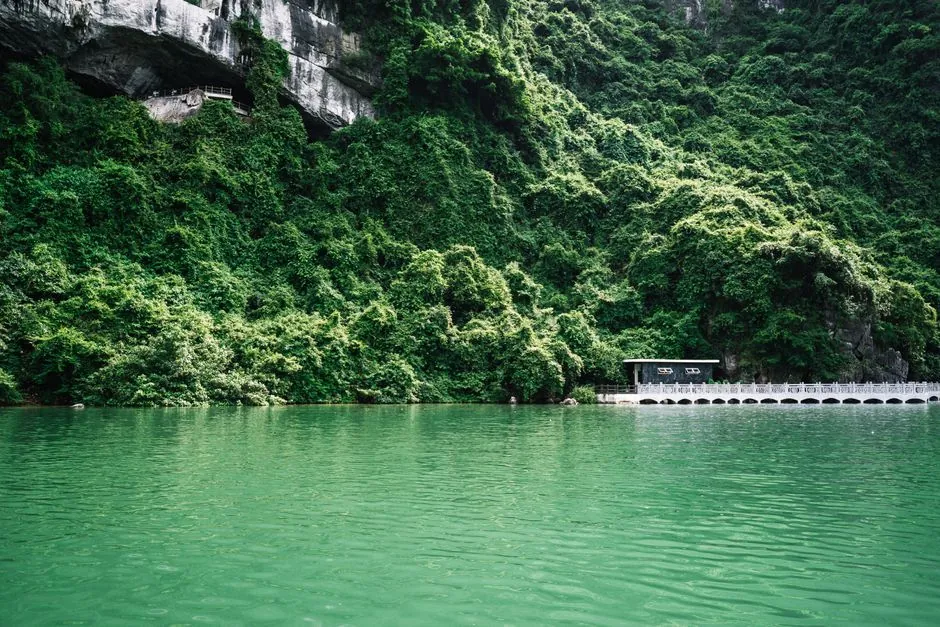 Serene lagoon with lush green cliffs in Vietnam, showcasing natural beauty and tranquility.