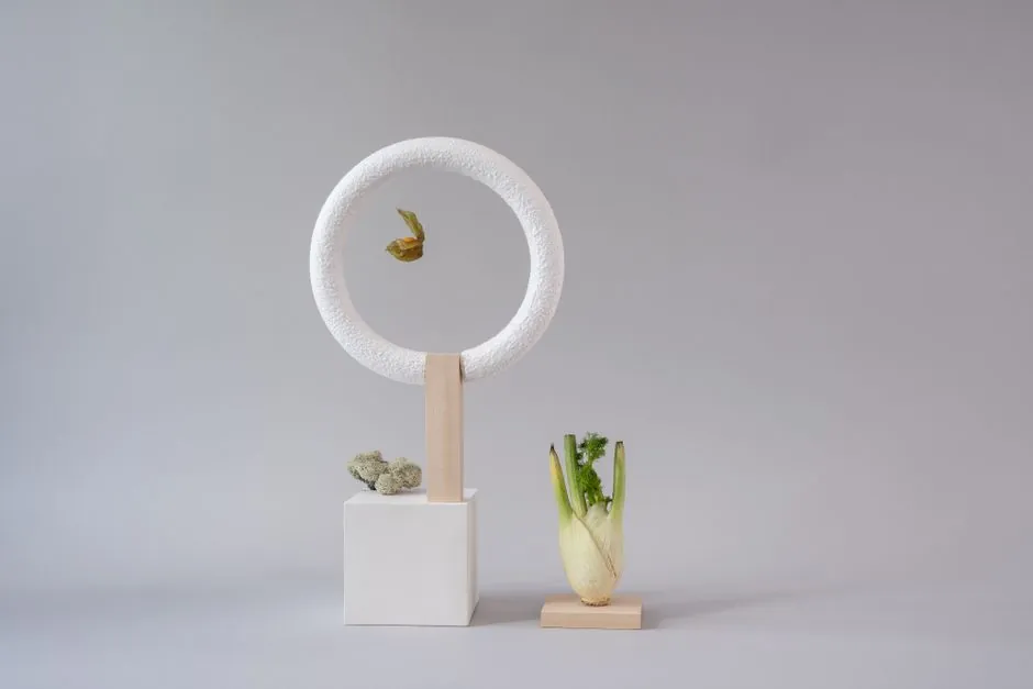 Artistic still life featuring a fennel bulb and abstract shapes on a gray background.